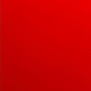 Meet your Posher, Scarlett